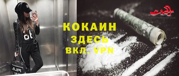 твердый Алексин